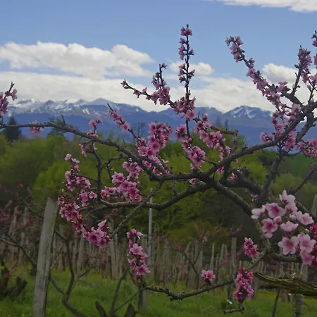 Bed and Breakfast Pesaulhe