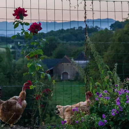 Bed and Breakfast Pesaulhe Monein