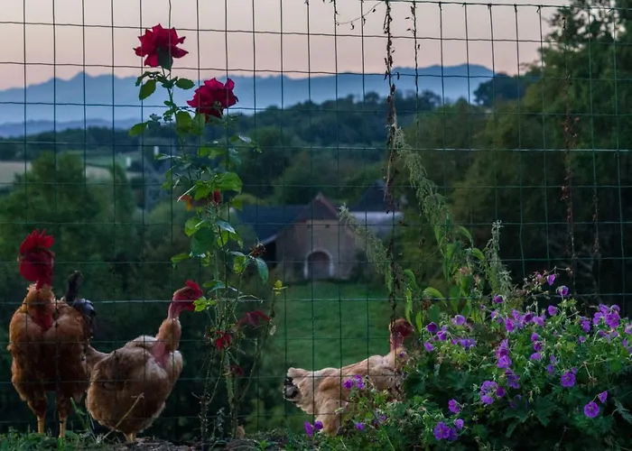 Panzió Pesaulhe Monein